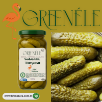 GREENELE Gewürzgurken – 680 g | Natürlich Fermentiert, Ohne Zusatzstoffe