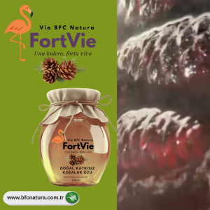 FORTVie Kiefernzapfen-Extrakt – Natürliche Unterstützung für Immunsystem & Atmung