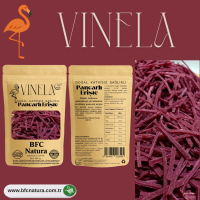 VINELA – Natürliche Rote-Bete-Nudeln ohne Zusatzstoffe | 500 g