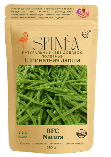SPINEA