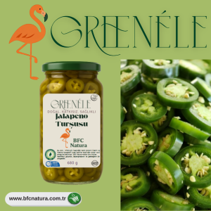 GREENELE Jalapeño-Gemüse – 680 g | Natürlich Fermentiert und Scharf