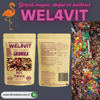 WEL4VIT – Gebackenes Vollkorn-Hafer-Granola mit Erdbeeren, Kirschen, Trauben, gerösteten Haselnüssen, Walnüssen & Zimt (350 g)
