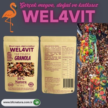 WEL4VIT – Gebackenes Vollkorn-Hafer-Granola mit Erdbeeren, Kirschen, Trauben, gerösteten Haselnüssen, Walnüssen & Zimt (350 g)